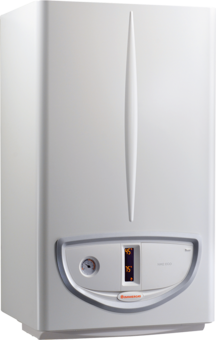 Immergas Caldaia a Camera Aperta Nike ECO 24 Metano